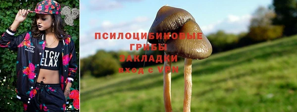 ПСИЛОЦИБИНОВЫЕ ГРИБЫ Алексеевка