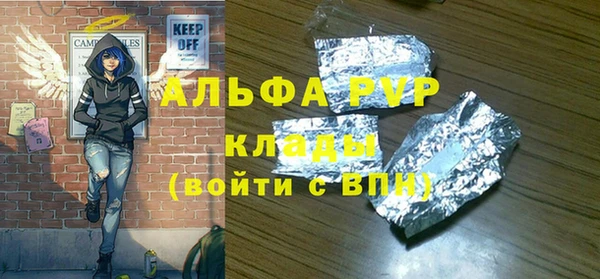 мет Алексин