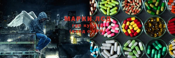 ПСИЛОЦИБИНОВЫЕ ГРИБЫ Алексеевка