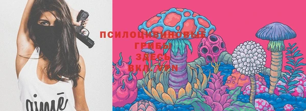 мет Алексин