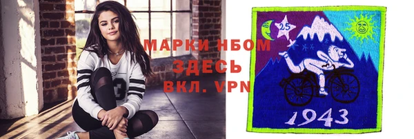 мет Алексин