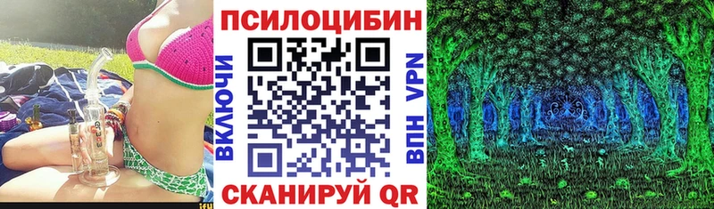 MEGA онион  Долгопрудный  Галлюциногенные грибы Psilocybe 