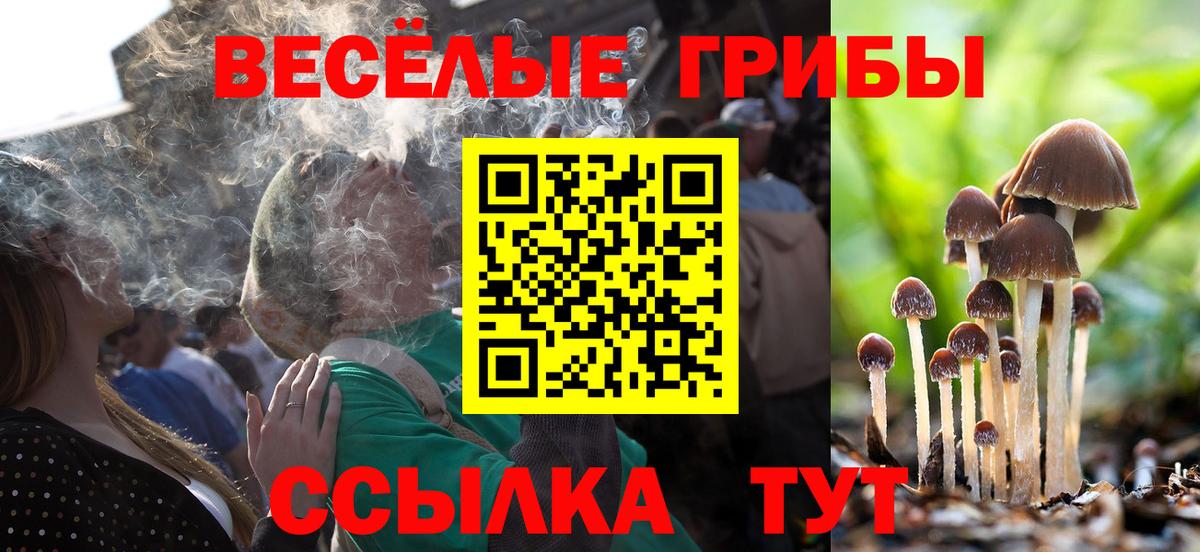 Долгопрудный  купить   Вход с VPN  Галлюциногенные грибы GOLDEN TEACHER 