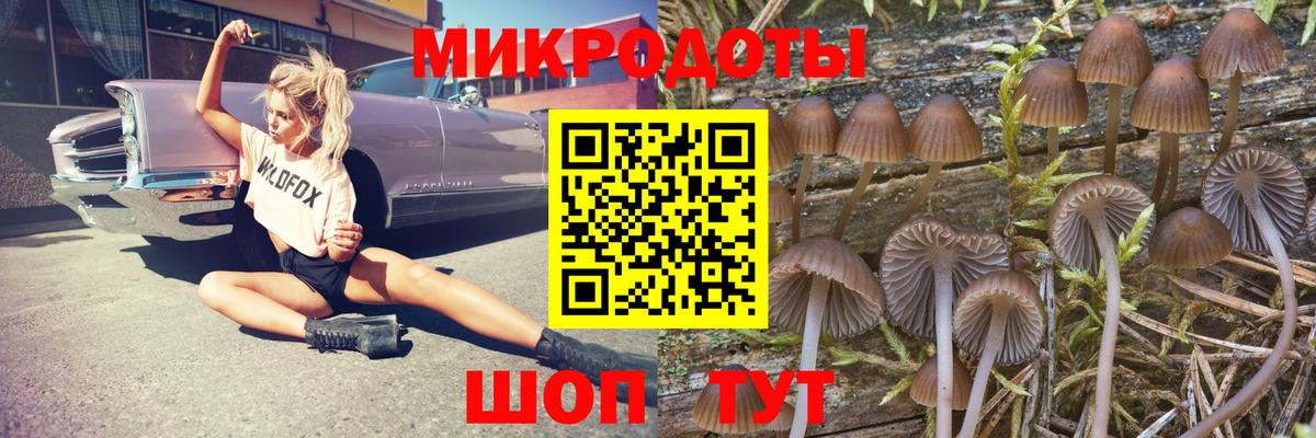 Псилоцибиновые грибы MAGIC MUSHROOMS Долгопрудный